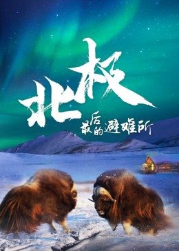 北极最后的避难所中文版