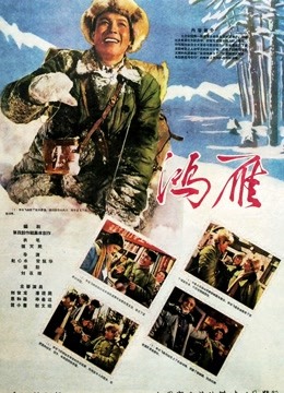 鸿雁[1960]