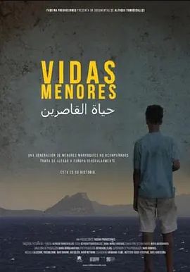 Vidas menores