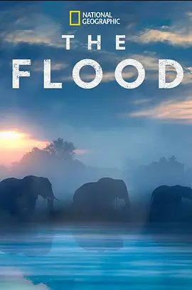 The Flood