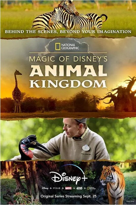 迪士尼动物王国 第二季 2023