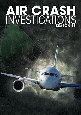 空中浩劫第十一季 空中浩劫第十一季