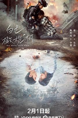 白色橄榄树 白色橄榄树